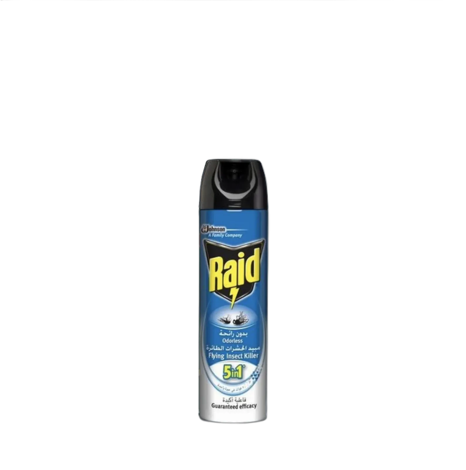 raid 400ml spray