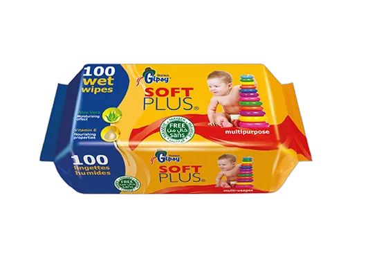 gipsy500wipes