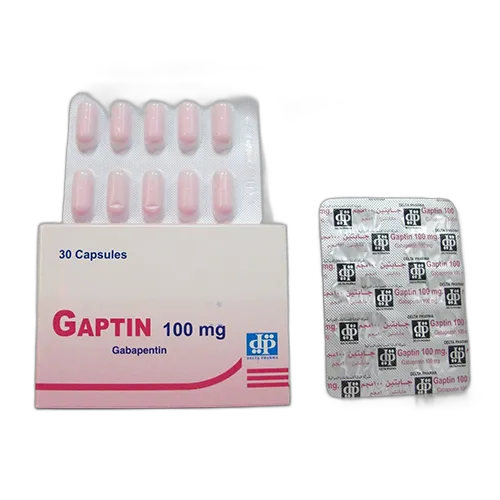 gaptin 100mg30tab